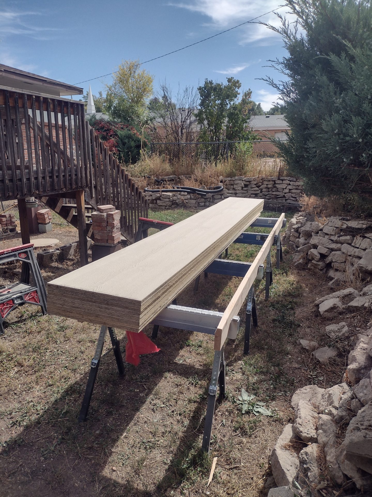 Project image