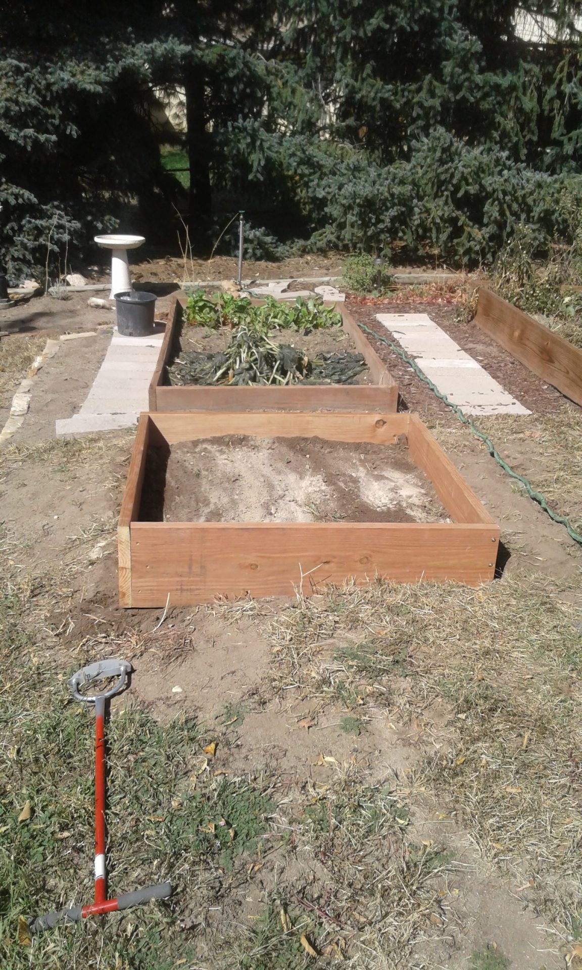 Inexpensive Raised Bed Project