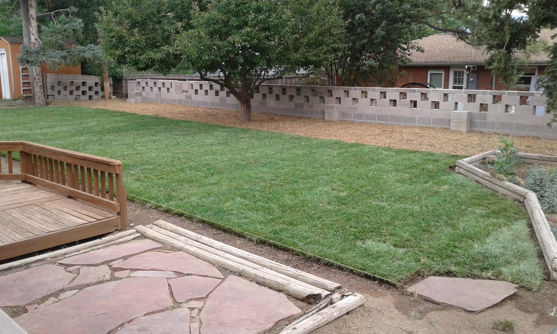 Backyard Transformation & Lawn Installation